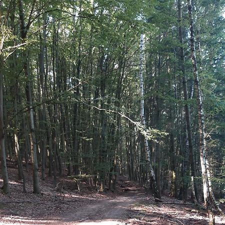 Appartement An Der Bicke Dehringhausen Εξωτερικό φωτογραφία