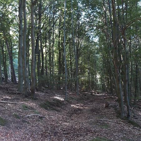 Appartement An Der Bicke Dehringhausen Εξωτερικό φωτογραφία