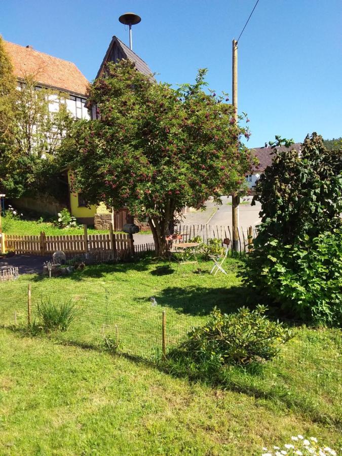 Appartement An Der Bicke Dehringhausen Εξωτερικό φωτογραφία